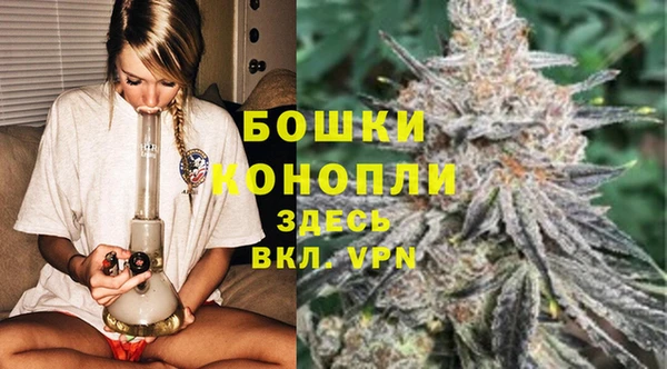 гашик Богданович