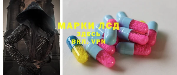 гашик Богданович