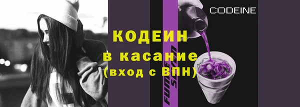 дживик Богородск