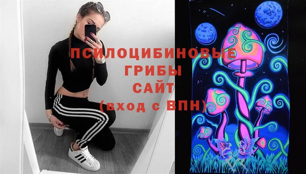 СК Богородицк