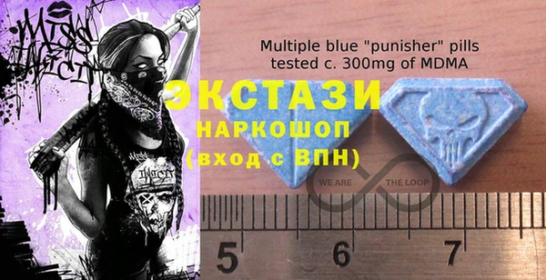 дживик Богородск