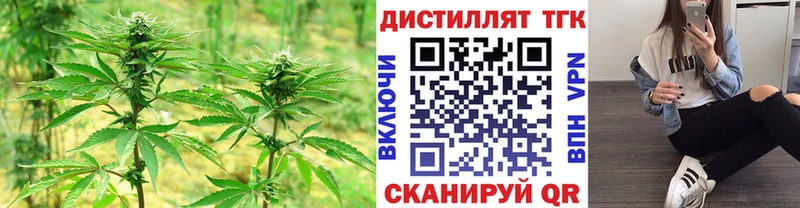 Купить где  Нефтекумск  ТГК Wax 