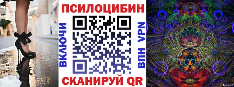 Купить  Нефтекумск  Псилоцибиновые грибы Cubensis 
